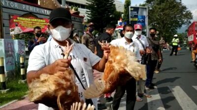 Peternak Protes, Bagikan Ayam dan Telur Gratis