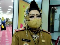 Vaksinasi di Rest Area Saat Mudik Tidak Efisien