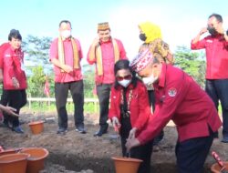 Kader Gotong Royong Bangun Kantor DPC PDI Perjuangan Mesuji