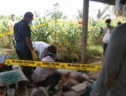 Pria Anonim Tewas Di Dalam Kandang Sapi