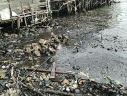 Pelaku Tak Pernah Terungkap, Leluasa Cemari Lautan