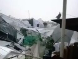 Tenda Pernikahan Roboh Diterjang Angin