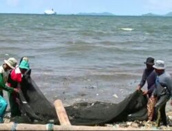 Tangkapan Ikan Berkurang, Nelayan Payang Merugi