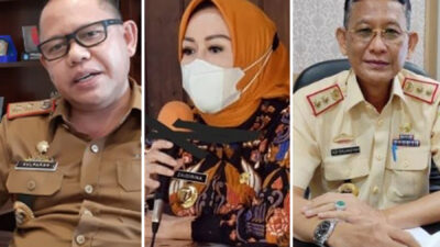 Adi, Rina & Sulpakar Penjabat Bupati 3 Kabupaten