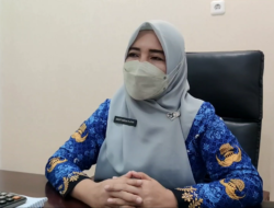 Waspada, 868 Kasus DBD di Kota 2 Meninggal Dunia