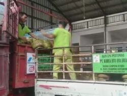 Aplikasi Gas Elpiji Bingungkan Pegadang Kecil