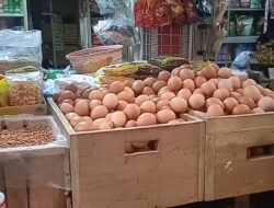 Harga Telur Tembus Rp 30 Ribu