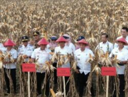 Nanang Ermanto Dorong Tingkatkan Komoditas Pangan
