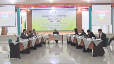 Petani Jagung Tidak Bergantung Terhadap Fungisida Sintetis