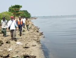 Teror Buaya Kota Diburu Hilang