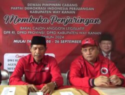 PPDI Perjuangan Way Kanan Targetkan 6 Kursi