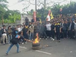 Setop Represif, Setop Barbar