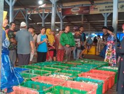 Solar Mahal Sulit Didapat, Harga Ikan Melonjak