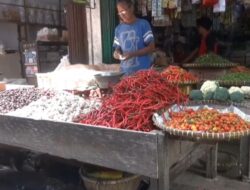 Faktor Cuaca, Harga Cabai Naik Lagi