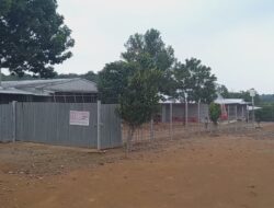 Peternakan Ayam Ditengah Pemukiman, Resahkan Warga