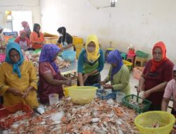 Ekspor Komoditas Perikanan Lampung Rp3,1 Miliar