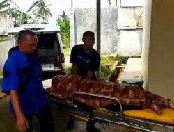 Guru Tewas Tersambar Kereta Api