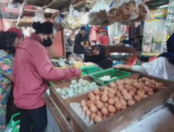 Surplus Telur, Harga Dipasaran Mahal