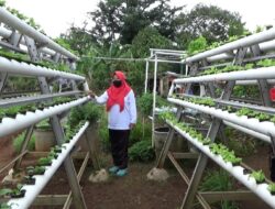 Tekan Inflasi, Wanita Tani Dapat Bantuan Rp25 Juta