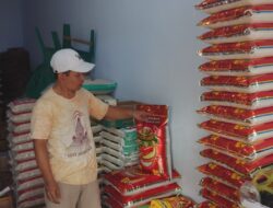 Pedagang Khawatir Raja Udang Beredar Dipasaran