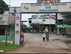 Polisi Selidiki Penyebab Buruh PTPTN 7  Tewas