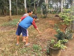 BAYI MALANG DITEMUKAN DI KEBUN KARET