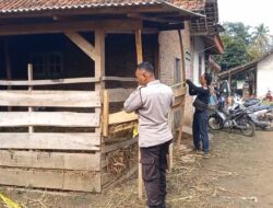Pencuri di Lampura Tembak Pemilik Kambing