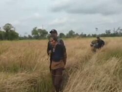 Berburu Rusa di Hutan Larangan, 1 Ditangkap 2 Lolos