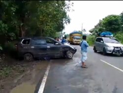 Hindari Lubang di Tengah Jalan, Minibus Hantam Pohon