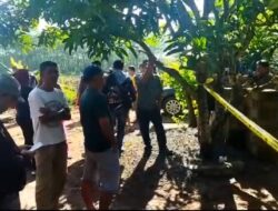 Kepergok, Pencuri Ayam Tewas Dimassa di Lampura