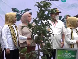 Kunjungan Ibu Negara di Lampung, Bawakan Bibit Alpukat Hijau Panjang