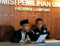 Abdul Hakim Daftar Calon DPD RI, Partai Nihil