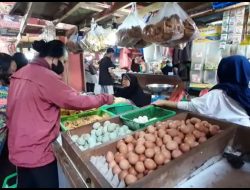 Disdag Minim Terobosan, Andalkan Impor