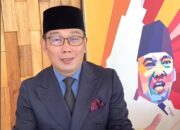 Goda Ridwan Kamil Bakal Cawapres Ganjar, Hasto Beri Sinyal