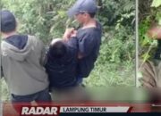 Ini Kronologis Amuk Massa Pencuri Alpokat Hingga Tewas