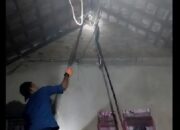 Sanca Kembang 3 Meter di Atap Rumah, Petugas Damkar Dikerahkan