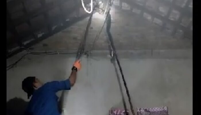 Sanca Kembang 3 Meter di Atap Rumah, Petugas Damkar Dikerahkan