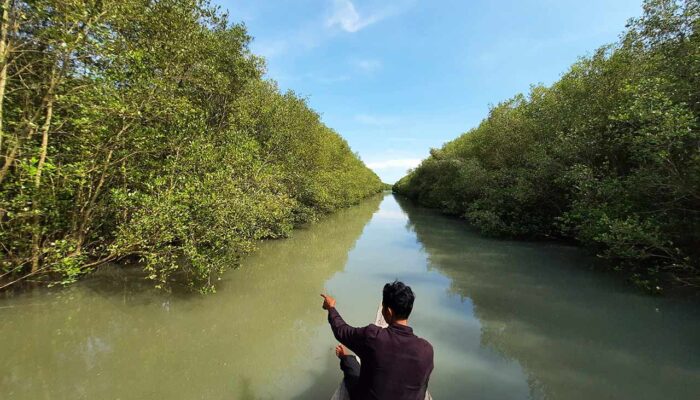 Tak Kalah Indah, Ini Wisata Pantai di Jalintim Lampung