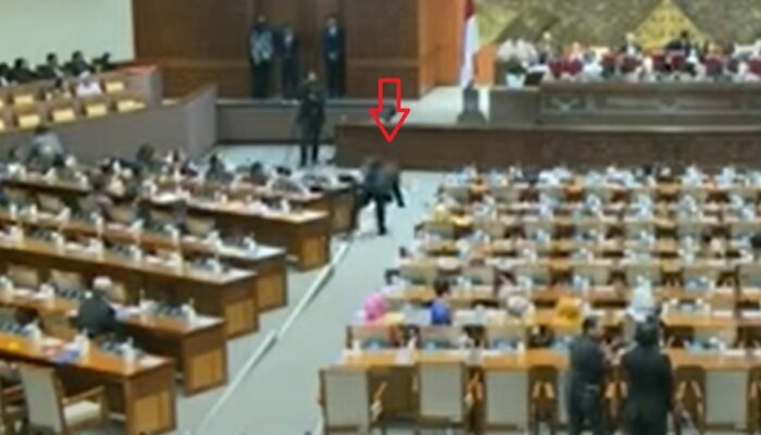 Momen Dede Yusuf Nyaris Terjatuh Saat Hendak Serahkan Pandangan Fraksi Demokrat ke Menkes