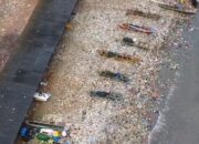 DLH Pemprov Lampung Klaim Rutin Bersihkan Pantai Sukaraja