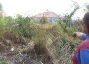 Setop Bakar Sampah! Lahan Ilalang di Sukamenanti Kebakaran Lagi