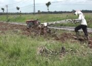 Kekeringan Dampak El Nino, Lampung Siapkan 110 Ribu Hektar Lahan Pertanian