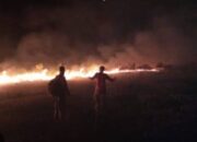 Satgas Karhutla Siaga Puncak El Nino Agustus – September 2023