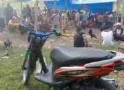 Lapor Pak Kapolres, Di Way Kanan Banyak Judi Sabung Ayam Kebal Hukum