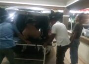 Jalan-Jalan Ke Lampung Timur, Warga Pringsewu Ini Nekat Bawa Sapi Ke Dalam Mobil  