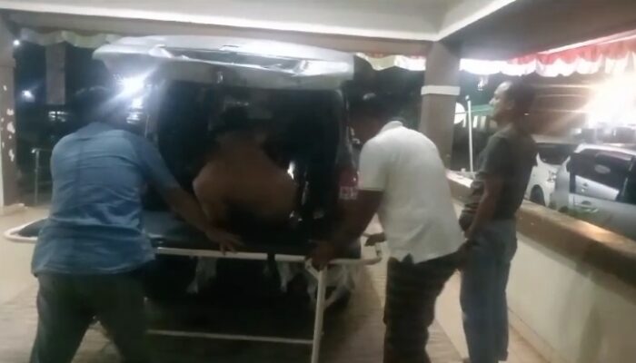 Jalan-Jalan Ke Lampung Timur, Warga Pringsewu Ini Nekat Bawa Sapi Ke Dalam Mobil  