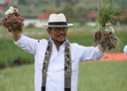 Mentan-Mendag Keluarkan “Jurus” Atasi Dampak El Nino, Ini Langkahnya