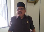 Watoni: Pemerintah Harus Tegas Hentikan Proyek Reklamasi PT.SJIM