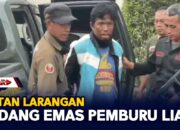 Hutan Larangan Ladang Emas Pemburu Liar