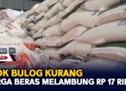 Stok Bulog Kurang, Harga Beras Melambung Rp 17 Ribu
